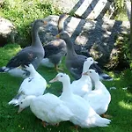 Bauernhof Oberscheffau Çiftlik konaklama