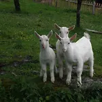 Bauernhof Oberscheffau