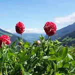 Bauernhof Oberscheffau * Neukirchen am Großvenediger