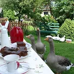 Bauernhof Oberscheffau Neukirchen am Großvenediger