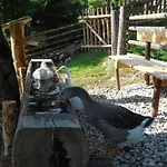 Alojamento de Turismo Rural Bauernhof Oberscheffau