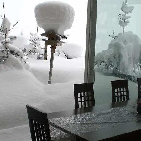 Bauernhof Oberscheffau *