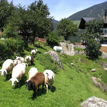 Bauernhof Oberscheffau 팜스테이 *