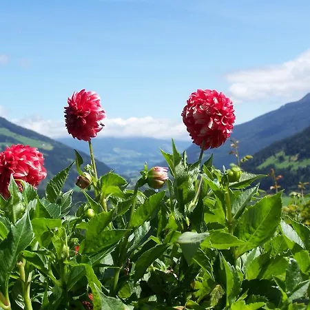 Bauernhof Oberscheffau * Neukirchen am Großvenediger