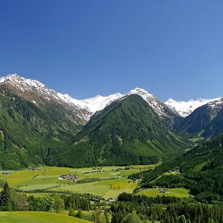 Bauernhof Oberscheffau 팜스테이 *