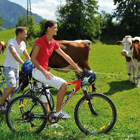 Bauernhof Oberscheffau 팜스테이 *