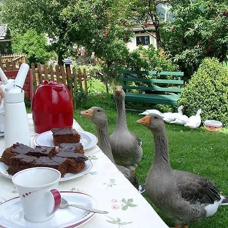 Bauernhof Oberscheffau Neukirchen am Großvenediger