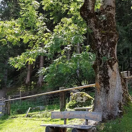 Bauernhof Oberscheffau Κατάλυμα σε φάρμα *