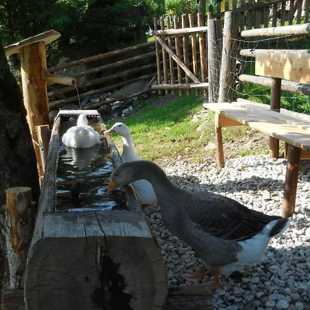 팜스테이 Bauernhof Oberscheffau