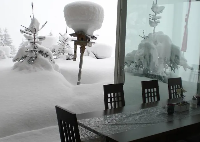 باويرنهوف أوبيرشيفاو *