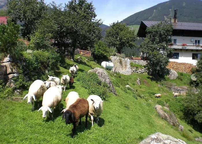 Bauernhof Oberscheffau Vakantieboerderij *