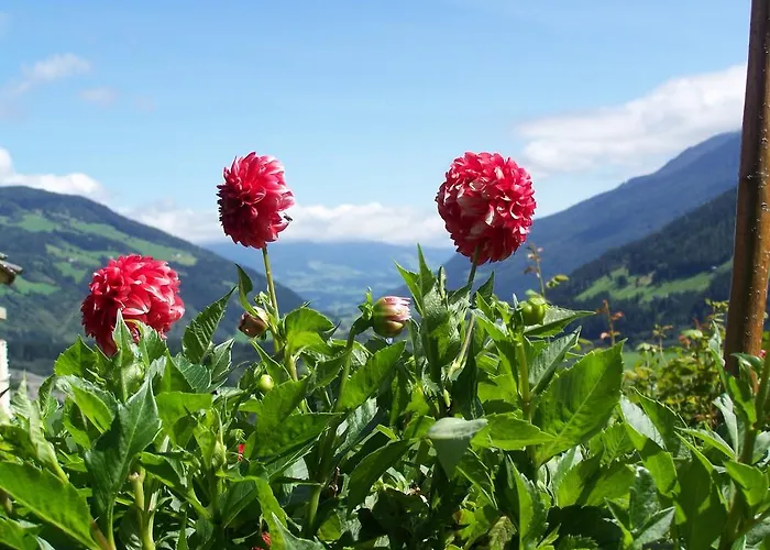 باويرنهوف أوبيرشيفاو * Neukirchen am Großvenediger