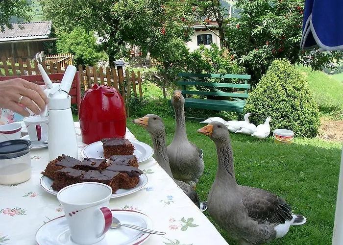 Bauernhof Oberscheffau Neukirchen am Großvenediger