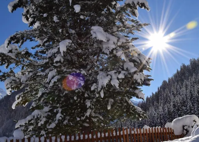 Bauernhof Oberscheffau