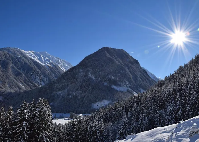 Bauernhof Oberscheffau *