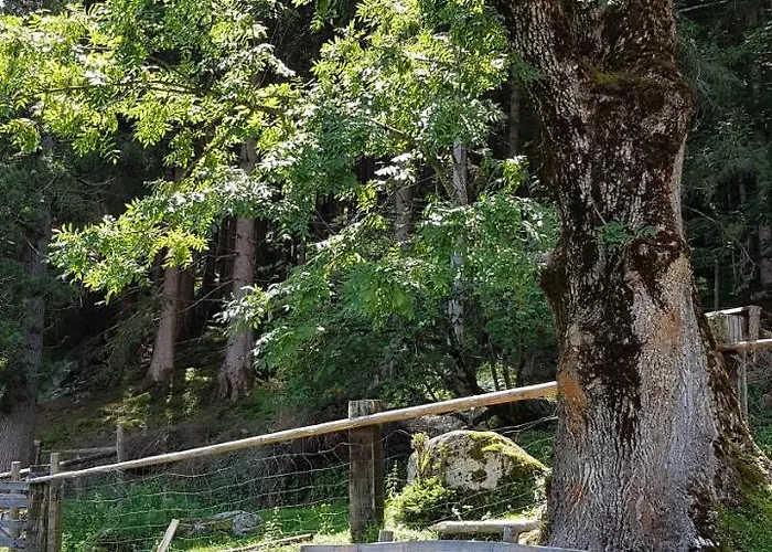 Bauernhof Oberscheffau Vakantieboerderij *