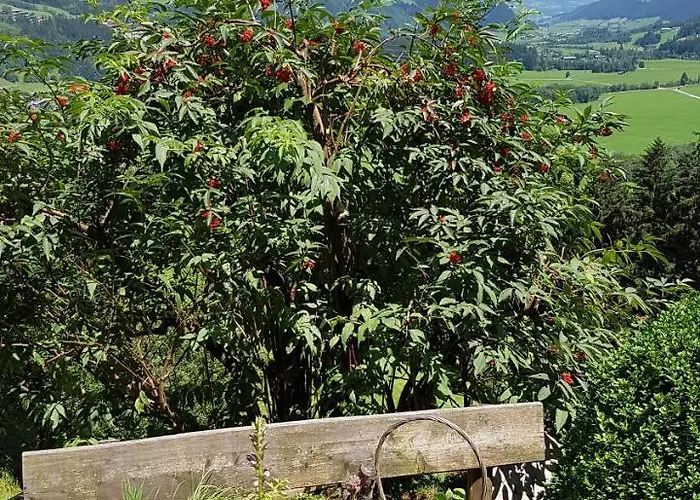 Bauernhof Oberscheffau *
