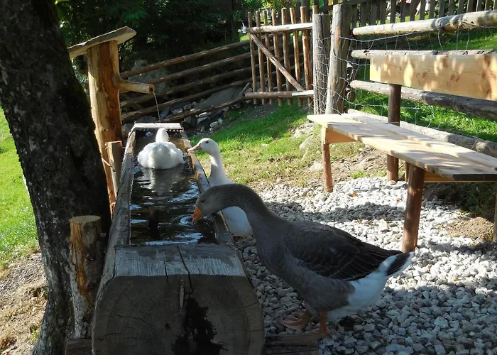 Vakantieboerderij Bauernhof Oberscheffau